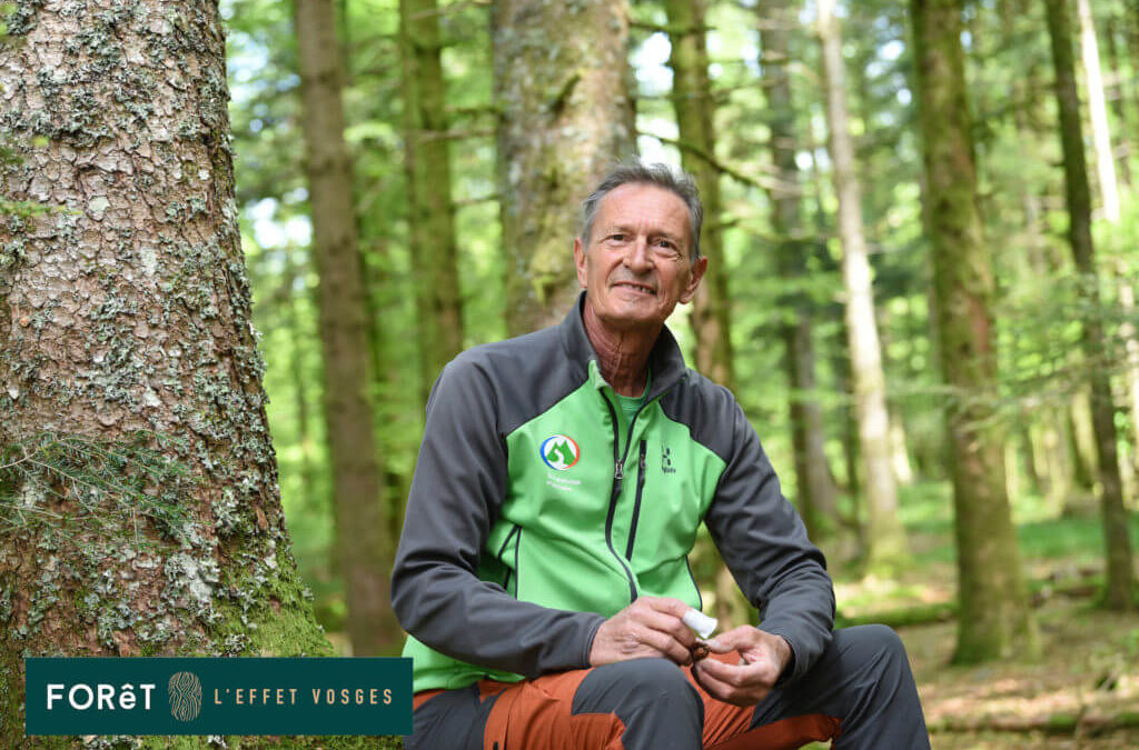 Philippe Poulet balade en forêt dans les Vosges